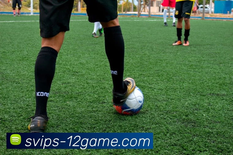 壹贰博官网服务体系