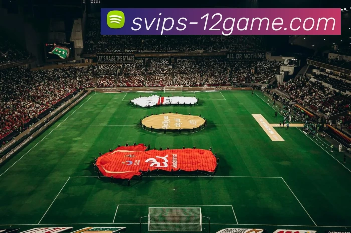 多媒体互动体验