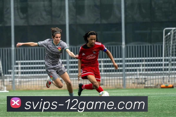 壹贰博官网APP 体育赛事宣传图